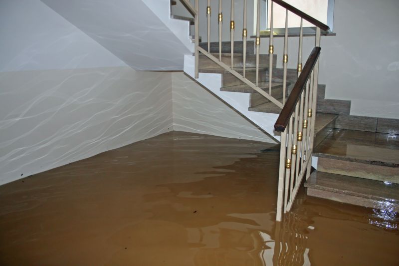 Basement Flood Restoration