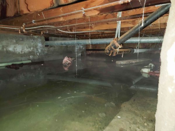 Water Mitigation Service in Hilliard