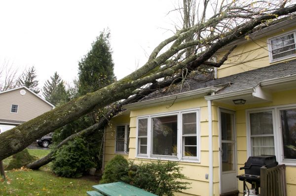 Hurricane Damage Repair in Hilliard